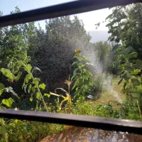 اجاره روزانه خانه باغ|اجارهٔ کوتاهمدت ویلا و باغ|ایلام, |دیوار