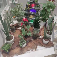 استخدام پزشک، مسول فنی، کارمند خانم آقا منشی ادمین