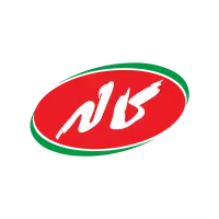 استخدامی نیروی تحویل دهنده