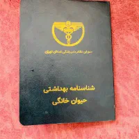 فروش گربه و بچه گربه