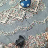 کیک استار