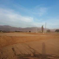 فروش-زمین-کشاورزی-با-چاه-و-پروانه-تاسیس-گلخانه