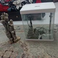 اکواریوم|ماهی|کرمان, |دیوار