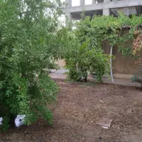 ویلای-450-متری-درختی