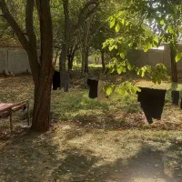 خونه باغ ویلایی آسام