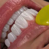 شرایط کامپوزیت از دم قسط