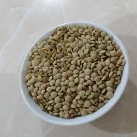 عدس پزا