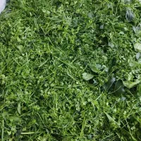 سبزی خورشتی آشی کوکو و...