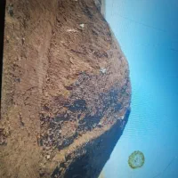 عنواع کودوخاک باغچه