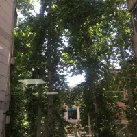 ۱۰۰۰ متر کلنگی قیطریه بلوار صبا