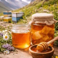 عسل طبیعی مستقیم از کندو