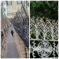 حفاظ شاخگوزنی ابشاری سرنیزه ای شاخ گوزنی|مصالح و تجهیزات ساختمان|رشت, توشیبا|دیوار
