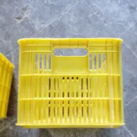 سبد ۲۵ کیلویی با کیفیت درجه یک|عمده‌فروشی|ساری, |دیوار