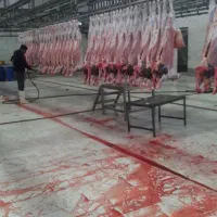 فروش گوسفند زنده و قصاب سیار|حیوانات مزرعه|اسلامشهر, شاطره|دیوار