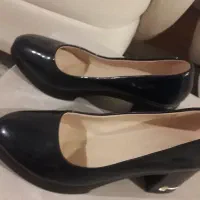 رسمی|کتابخانه، شلف، قفسههای دیواری|مشهد, گلبرگ شمالی|دیوار