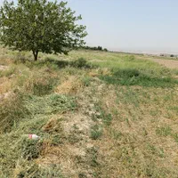 زمین کشاورزی4000متر با 2ساعت آب چاه موتور|فروش زمین و ملک کلنگی|مشهد, مهدی آباد|دیوار