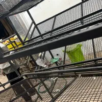 قفسه فلزی خوش ساخت و محکم برای قفسه و میوه فروشی