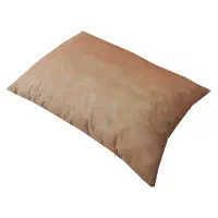 بالشت