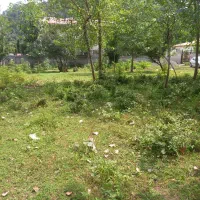 فروش-زمین-به-متراژ-700متر-در-کله-سرا-اسالم