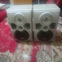 باندظبط