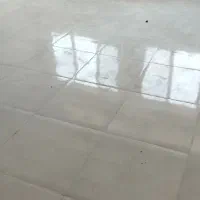 مهارت و پیشه