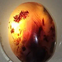 تعدادی سنگ شجر عقیق یمنی و سلیمانی و انگشتر نقره