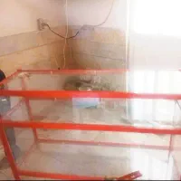 قفسه