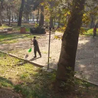 نیروی خدماتی نظافتی