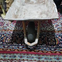 فرقون