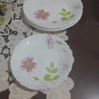 آرکوپال لومینارک