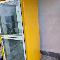 یخچال ویترینی ایستاده دودر