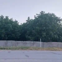 زمین با مجوز گاوداری شهر اردل