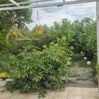 اجاره ویلاباغ نزدیک ، امن قیمت مناسب.