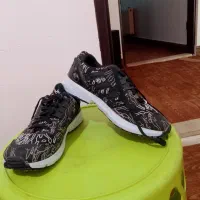 کفش وکتونی|کیف، کفش، کمربند|سورک, |دیوار