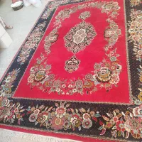 فروش فوری فرش و کناره|فرش|شیراز, درکی|دیوار