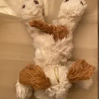 عروسک|اسباب‌‌بازی|رودسر, |دیوار