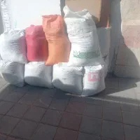 شن یاماسه