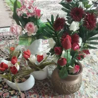 تعدادی گل و گلدان