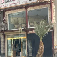نیروی ساده