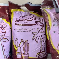 خاک کاکتوس