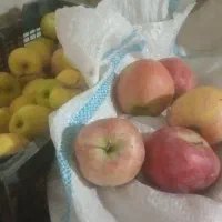 فروش عمده سیب درجه یک و دو