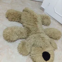 سگ خوابیده بزرگ ۱۱۰سانتی