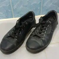 کتونی کفش چرم D&G اصل