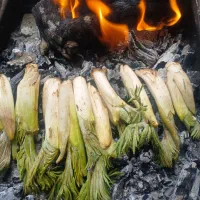 بیلهر   اندش ت  کارده