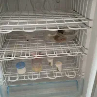 یخچال نیمه فریزر سوزان|یخچال و فریزر|بستان آباد, |دیوار