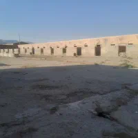 دامشهر طویله و باربند اجاره داده میشود