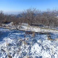 فروش خونه باغ در شهر توریستی و گردشگری سیسخت|فروش خانه و ویلا|سیسخت, |دیوار