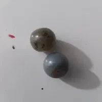 مهره. برد اصلی