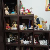 قفسه چوبی کتاب