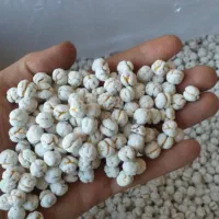 نخودچی گل|خوردنی و آشامیدنی|ممقان, |دیوار